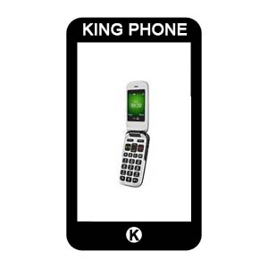 reparation-doro-phoneeasy-605-chambery