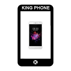 reparation-neffos-x1-chambery